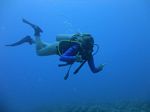 Hawaii Scuba divng 73