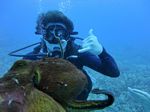 Hawaii Scuba divng 78