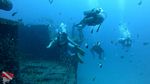Hawaii scuba 17