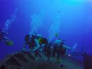 Hawaii Scuba divng 12