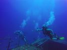 Hawaii Scuba divng 19