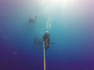 Hawaii Scuba divng 01