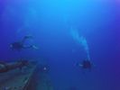 Hawaii Scuba divng 24