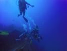 Hawaii Scuba divng 28