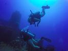 Hawaii Scuba divng 36