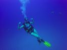 Hawaii Scuba divng 37