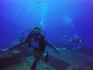 Hawaii Scuba divng 38