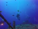 Hawaii Scuba divng 47