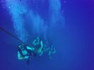 Hawaii Scuba divng 56