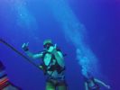 Hawaii Scuba divng 57