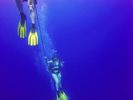 Hawaii Scuba divng 60