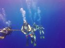 Hawaii Scuba divng 63