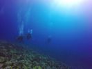 Hawaii Scuba divng 65