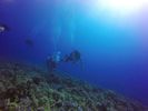 Hawaii Scuba divng 67