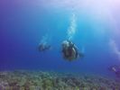 Hawaii Scuba divng 68