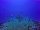 Hawaii Scuba divng 06