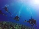 Hawaii Scuba divng 72