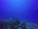 Hawaii Scuba divng 07