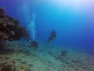 Hawaii Scuba divng 84