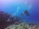 Hawaii Scuba divng 88