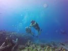 Hawaii Scuba divng 89