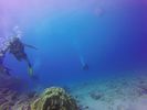 Hawaii Scuba divng 90