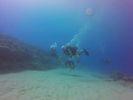 Hawaii Scuba divng 91