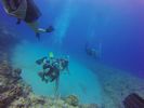 Hawaii Scuba divng 92