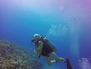 Hawaii Scuba divng 93