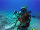 Hawaii Scuba divng 97