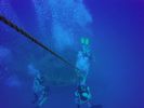 Hawaii Scuba divng 54