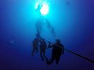 Hawaii Scuba divng 05