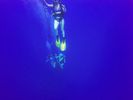 Hawaii Scuba divng 61