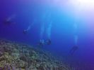 Hawaii Scuba divng 64