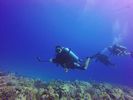 Hawaii Scuba divng 70