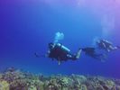 Hawaii Scuba divng 71