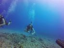 Hawaii Scuba divng 77