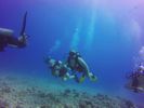 Hawaii Scuba divng 78