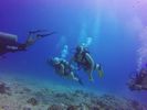 Hawaii Scuba divng 79