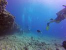 Hawaii Scuba divng 81