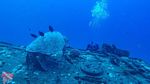 Hawaii Scuba divng 24