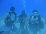 Hawaii Scuba divng 12