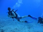 Hawaii Scuba divng 14