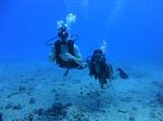 Hawaii Scuba divng 15