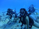 Hawaii Scuba divng 16