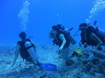 Hawaii Scuba divng 17