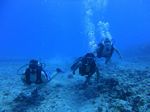 Hawaii Scuba divng 18