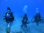 Hawaii Scuba divng 21