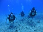 Hawaii Scuba divng 22