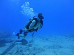 Hawaii Scuba divng 29